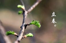 立春打春牛的寓意 土牛打春是什么意思