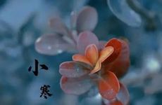 小寒有什么说法寓意？小寒时节特征