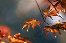 2022年24节气秋分是哪一天 24节气秋分由来及习俗