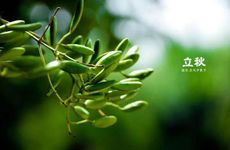 2023年5月份升学宴吉日查询 2023年5月升学宴好日子一览表