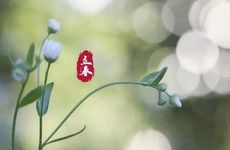 2024立春迎春可以在娘家吗 立春习俗禁忌