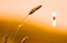 梦见走进一片坟墓群