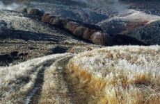 2024年霜降种小麦晚吗