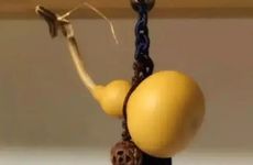 梦见手镯断了是什么预兆？