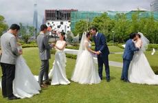 今日相冲生肖查询 2024年6月18日生肖相冲查询