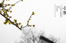 2022年小寒十二月十四可以开业吗