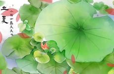 2024立夏当天吃什么 2024年立夏应该吃什么