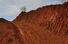 揭秘路旁土命一生的财运如何 路旁土的人命里有财吗