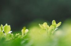 2024年立春后天气就转暖了吗 2024年立春后天气怎么样