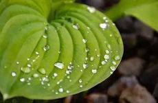 2024白露的含义及特点