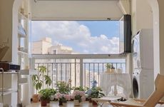 家里放薄荷不吉利 为什么说家里放薄荷不吉利