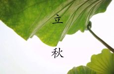 2024年1月节气分别是什么 2024年1月份节气大全