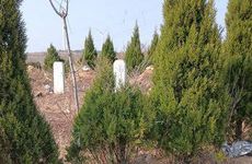 2022清明上坟烧纸画圈是逆时针还是顺时针