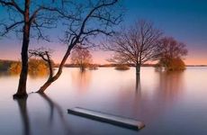 乌龟在家里养好不好 养龟的禁忌讲究有哪些