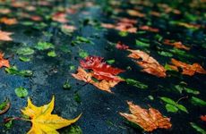 办公大楼光煞和尖角煞怎么化解 办公桌对尖角煞如何化解