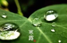 2023年是什么年什么命 水兔之人人缘好宜经商