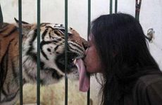 2023年1月6日农历腊月十五出生的属虎男孩取名推荐