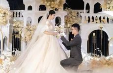 家里摆放什么植物旺财 生机流转财运流通