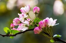 2023年立春躲春的生肖 2023年什么生肖要躲春？