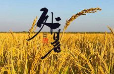 插翅难逃猜一生肖 有关龙的谜语解析