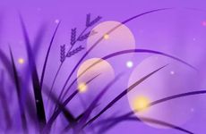 大暑节气的民俗活动及养生要点