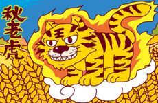 1962属虎女晚年的依靠是什么