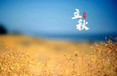 梦见中风怎么回事 梦见中风有什么预兆