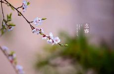 2025躲春什么时间躲及注意事项