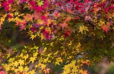 悲伤的名字男生网名