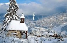 冬至吃什么进补？冬至一定要吃饺子吗？