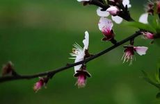 2022年立春是哪一天？从几月几日几点几分开始的