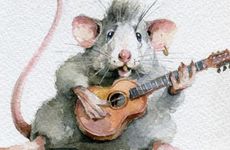 2026属鼠人冲太岁禁忌