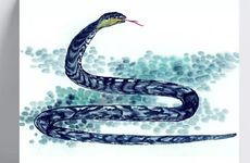 为什么蛇盘兔必须是男蛇女兔