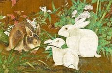 龙与兔非常不般配吗