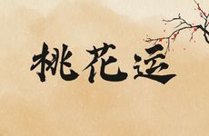 属猪桃花运最旺的一年