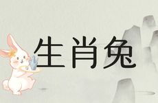 1987年生肖兔的流年大运详解