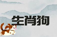 2025生肖狗11月运势如何