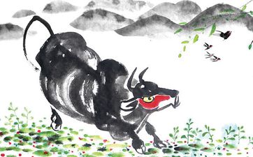 1925年出生属什么