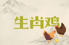 1981年生肖鸡一生的命运如何