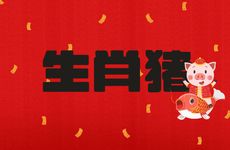 生肖猪的男人对谁会一见钟情