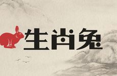 生肖兔去哪个城市工作好