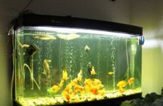 西南角最忌讳放什么