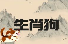 生肖狗一生运程如何