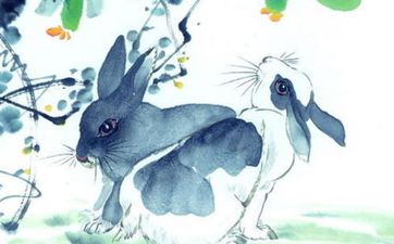 兔年兔月兔日出生丰衣足食人间有福人