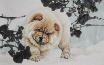 94年狗和94年狗是上等婚吗