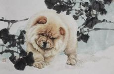 94年狗和96男鼠能不能在一起