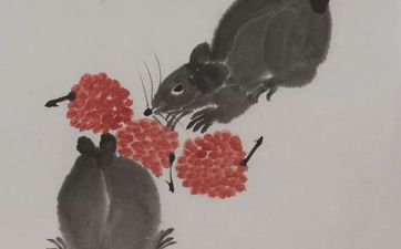 所谓六鼠贵命指的是什么