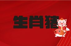 1971年生肖猪人三大劫难