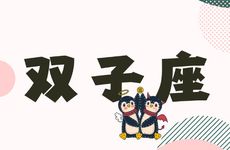 双子座2026年幸运色