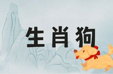 1970年生肖狗人运势运程